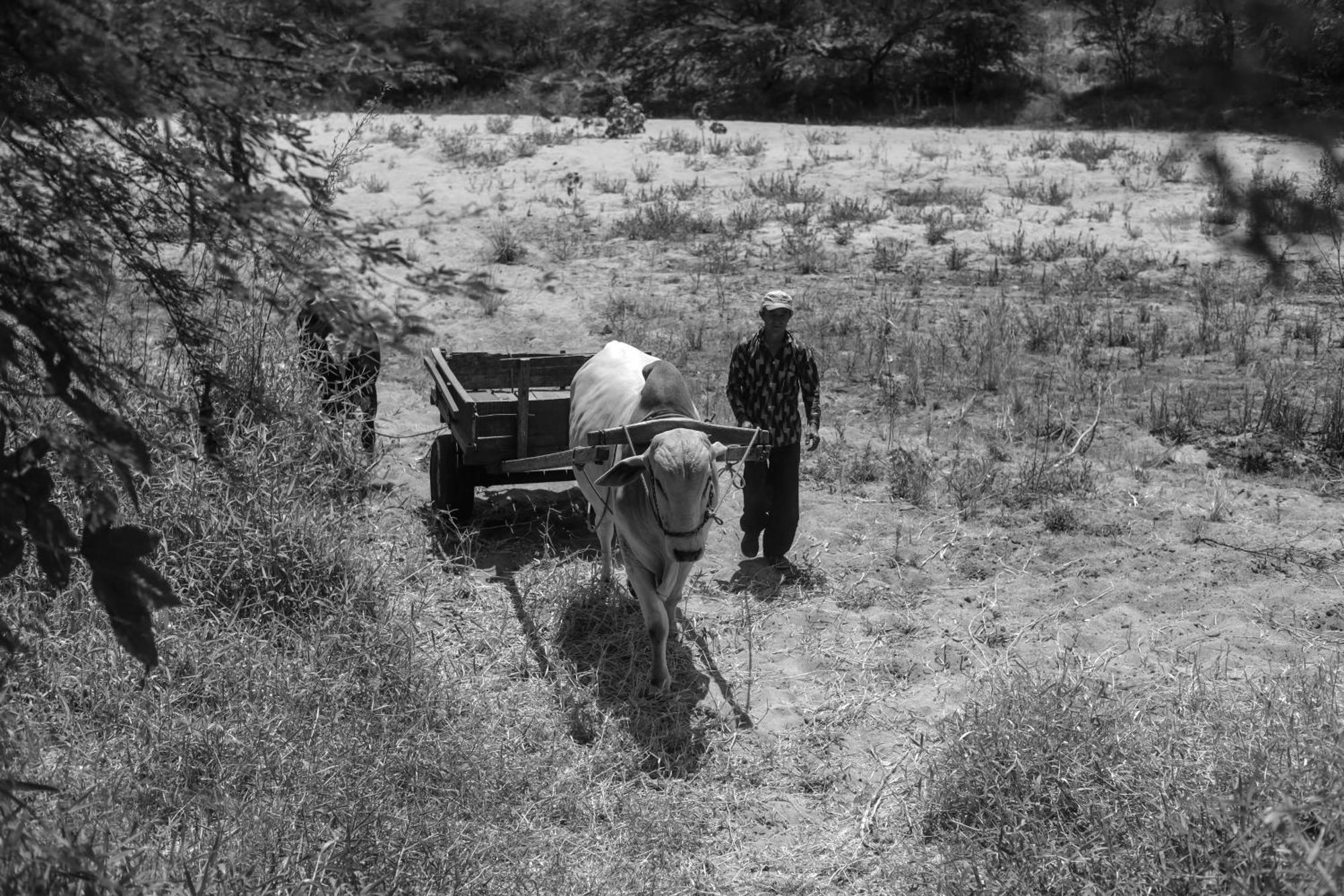 Fazenda Poco Das Pedras São João do Cariri Eksteriør bilde